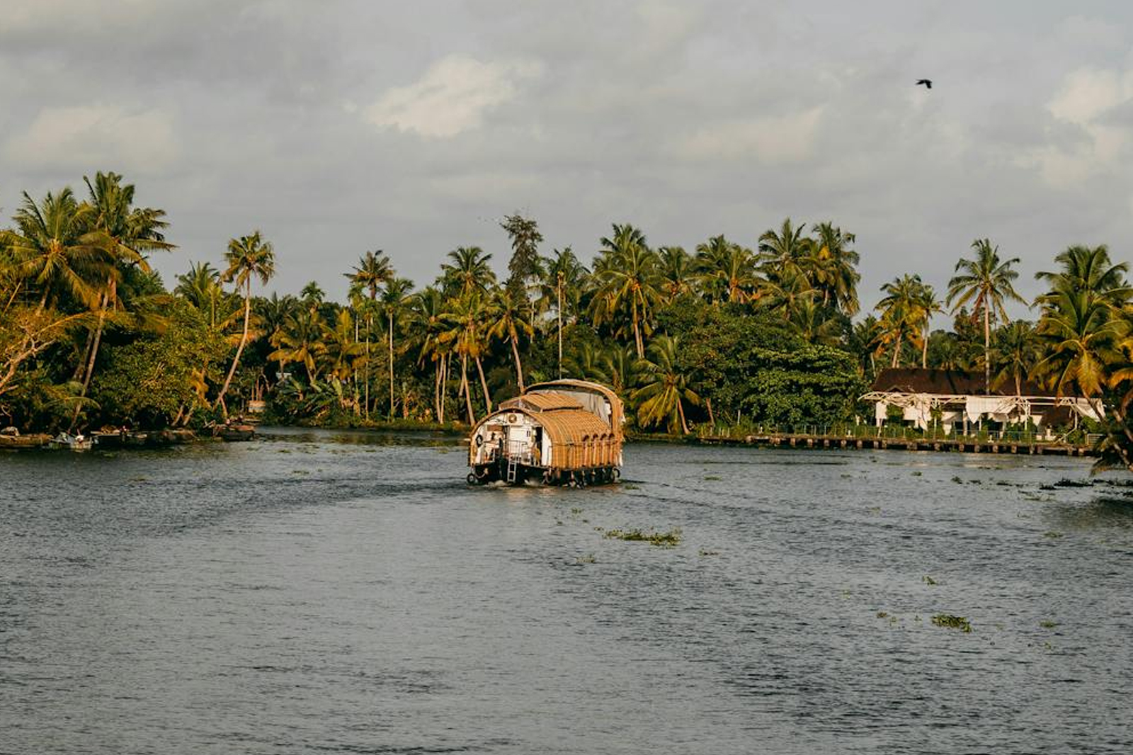 Punnamada Lake alappuzha 