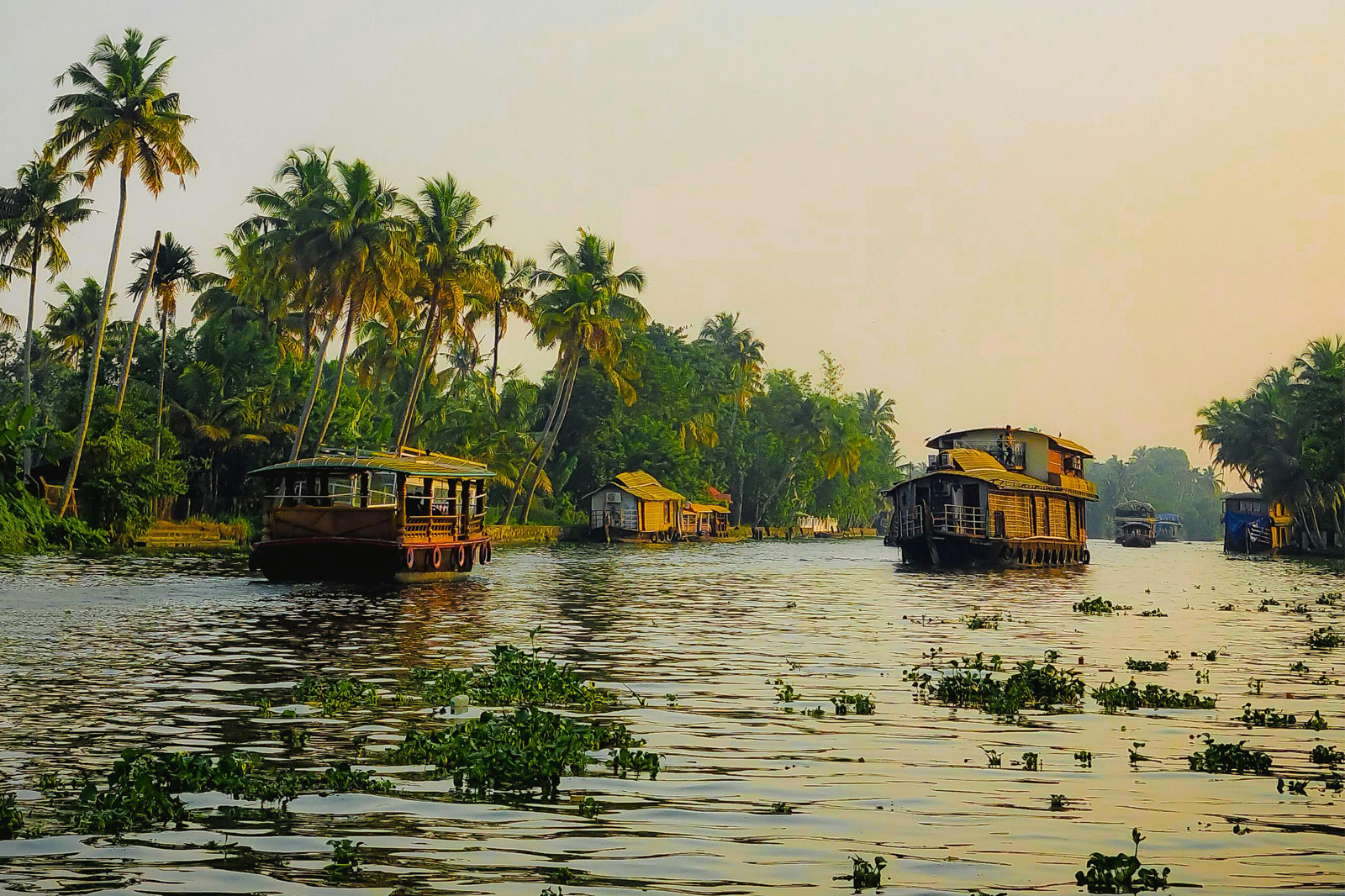 alappuzha backwaters adventure