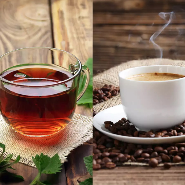 Kumarakom to Alleppey houseboat trip